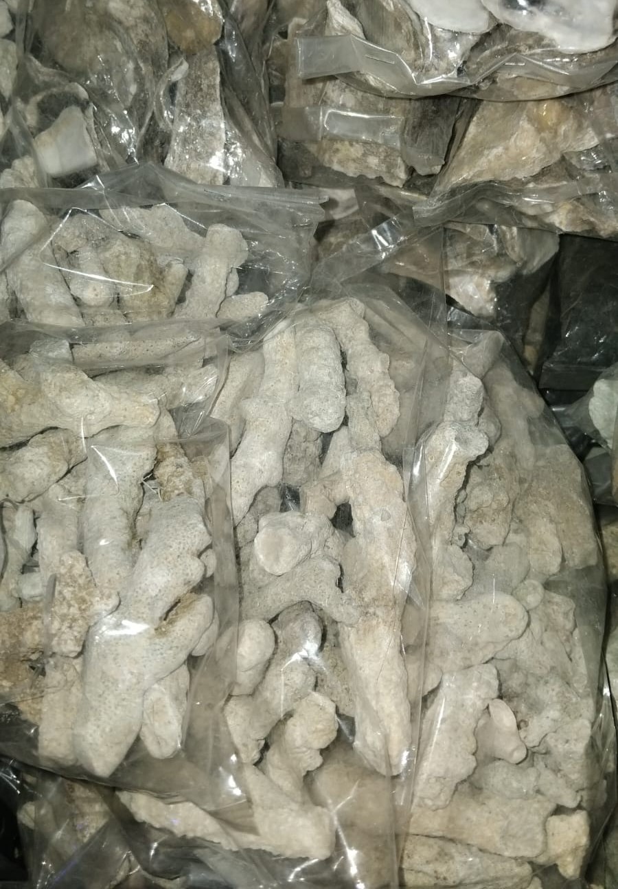 Batu Karang